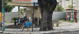Todos os vereadores assinam pedido para manter tradição do Truco da Cutia