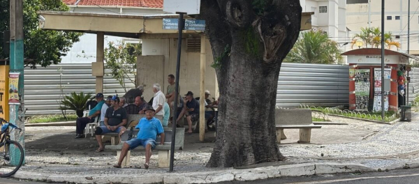 Todos os vereadores assinam pedido para manter tradição do Truco da Cutia