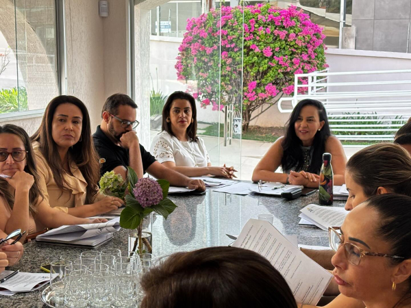 Vereadora Rosângela Diretora participa de reunião do Conselho Municipal de Educação